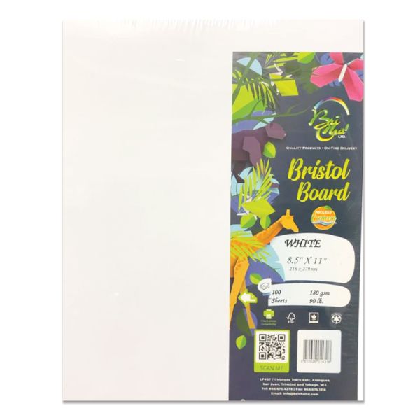 WHITE BRISTOL BOARD 8.5 X 11 90LB